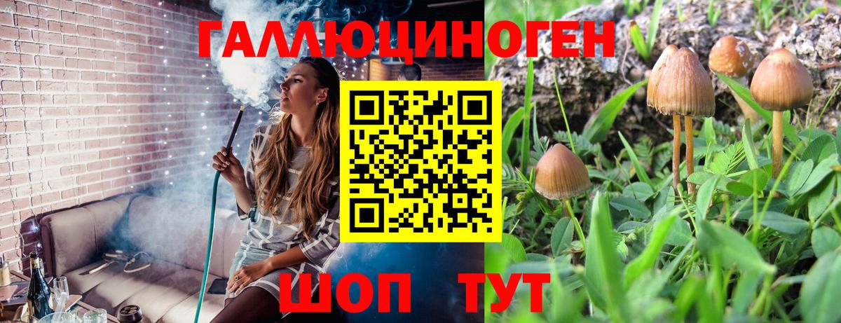 Псилоцибиновые грибы прущие грибы Дмитров