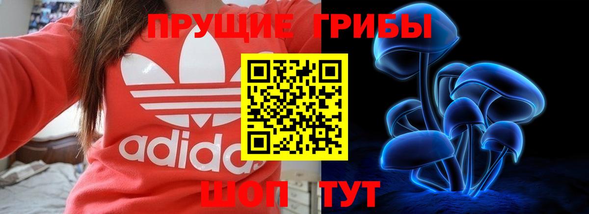 Дмитров  Галлюциногенные грибы мицелий  даркнет сайт  Вход с VPN 